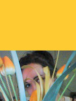 Image de waldolydecker