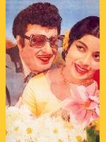 Image de la pitite foret