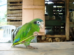 Image de borabora