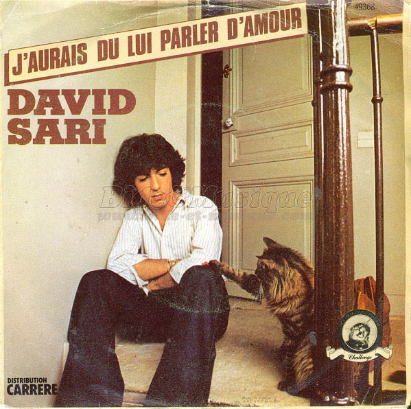 David Sari - J'aurais dû lui parler d'amour