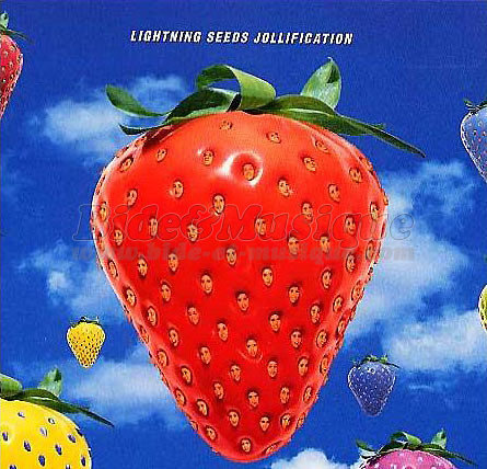 Lightning Seeds - Marvellous