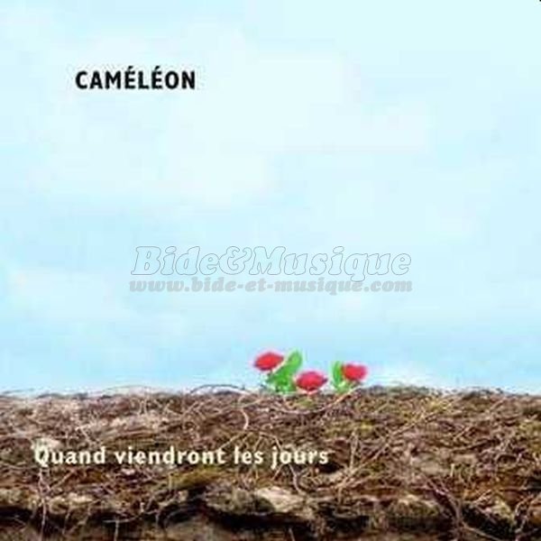 Caméléon - Caméléon