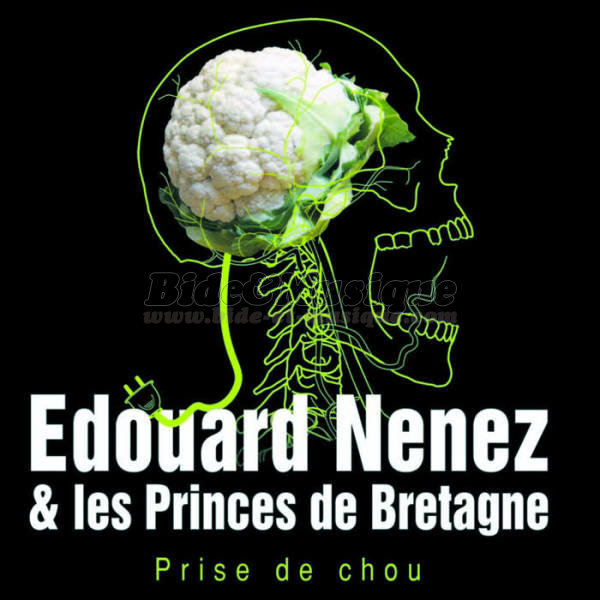 Edouard Nenez et les princes de Bretagne - Non, non, rien a changé