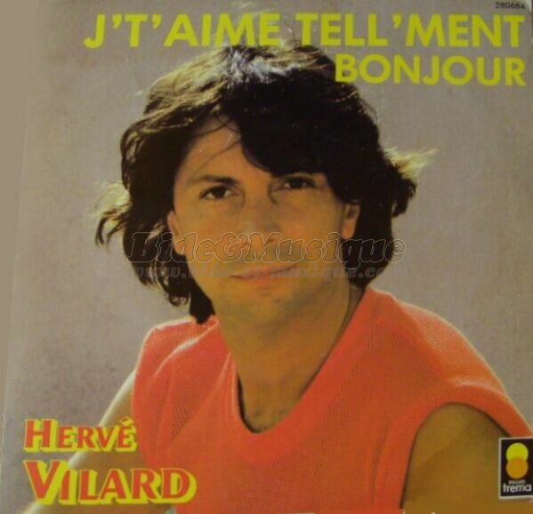 Hervé Vilard - Bonjour