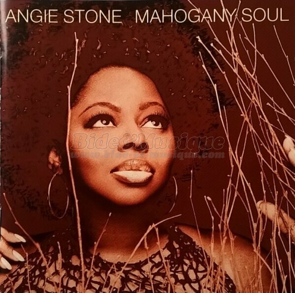 Angie Stone - Love on the Bide