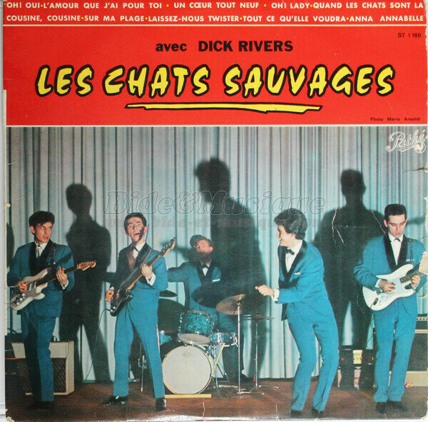 Les Chats Sauvages - Quand les chats sont là
