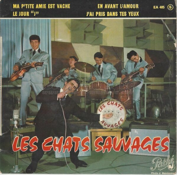 Les Chats Sauvages - C'est le jour J