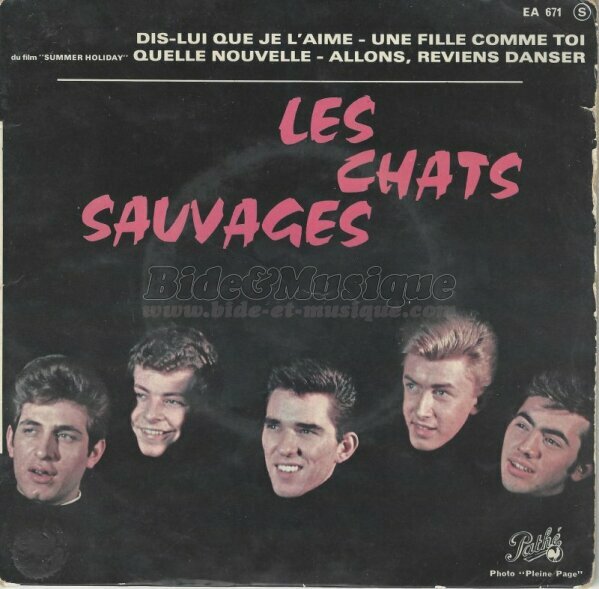 Les Chats Sauvages - Allons, reviens danser