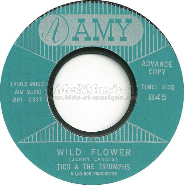 Tico and the Triumphs - Sixties