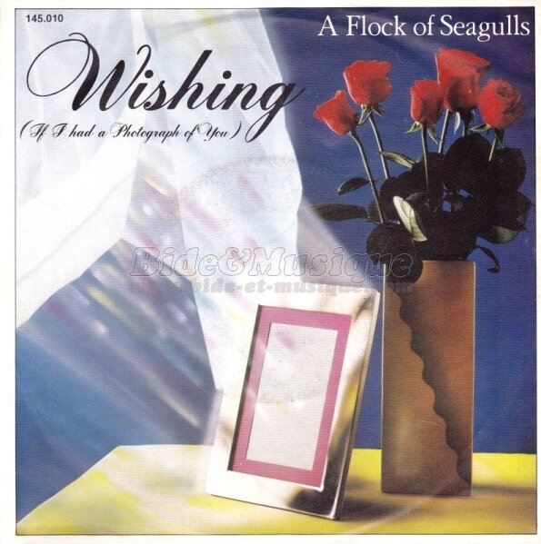 A Flock Of Seagulls - Wishing (I had a photograph of you)