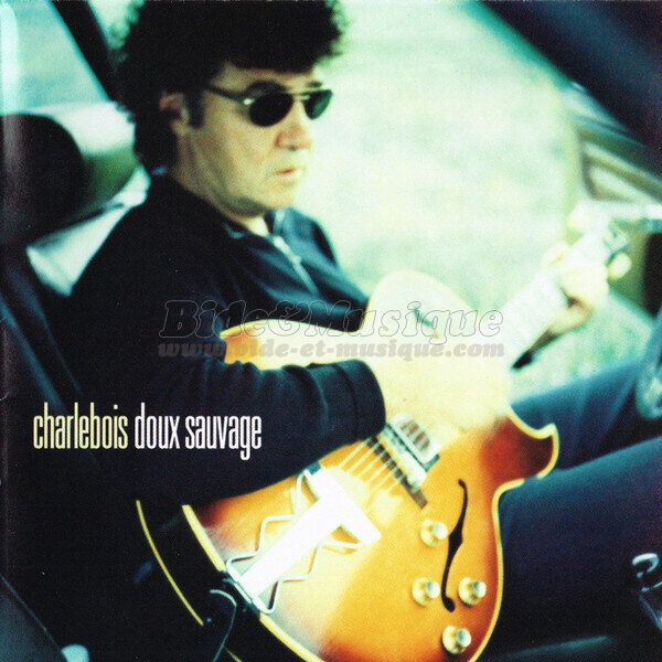 Robert Charlebois - C'était une très bonne année