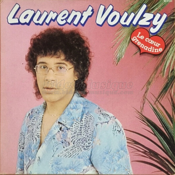 Laurent Voulzy - Qui est in, qui est out