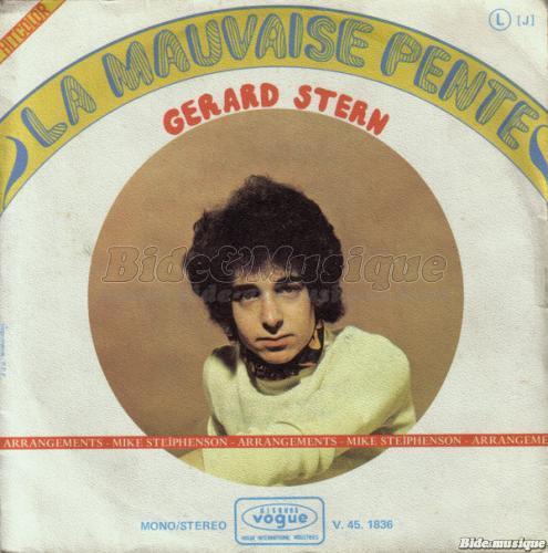 Gérard Stern - La mauvaise pente