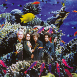 Katerine, Francis et ses Peintres - DJ