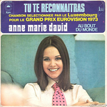 Anne-Marie David - Tu te reconnaîtras