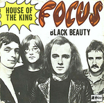 Focus - House of the king