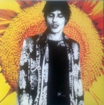 Jean Leloup - Le castel impossible