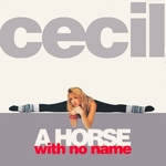 Cecil - A horse with no name