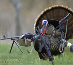 Motif €œBluesman€ Thomas - Herbert the Homicidal Turkey