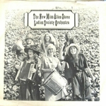 The New Miss Alice Stone Ladies Society Orchestra - (Everybody has to have a) Mother