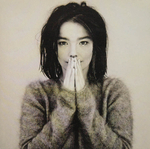Björk - Human Behaviour