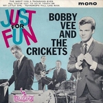 Bobby Vee and the Crickets - Teardrops fall like rain