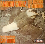 Cap Horn - Amoco Cadiz, les oiseaux de goudron