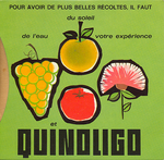 Quinoligo - La fertilisation foliaire équilibrée