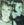 Vignette de Vaya con dios - What's a woman