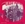 Vignette de Spanky and Our Gang - Echoes