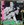 Vignette de Elvis Presley - That's all right