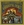 Vignette de Grateful Dead - Cream puff war