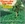 Vignette de Teddy & Darrel - They took you away, I'm glad, I'm glad
