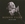 Vignette de Bonnie Tyler - Believe in me
