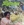 Vignette de The Stylistics - You are everything