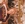 Vignette de Claude Semal - T'es con