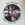 Vignette de John Hartford - The Golden Globe award