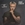 Vignette de David Christie - Heartbeat to heartbeat
