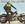 Vignette de Freddy Sunder - Calling car boogie (version 1972)