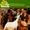 Vignette de Beach Boys, The - Sixties
