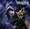 Vignette de Warlock - coin des guit'hard, Le