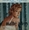 Vignette de Mathé Altéry - Love on the Bide