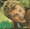 Vignette de Johnny Hallyday - Chez les yé-yé