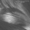 Vignette de Charlotte Gainsbourg - Acteurs chanteurs, Les