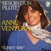 Pochette de Anne Ventura - Besoin d'un pilote