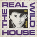 Vignette de Raul Orellana - The real wild house