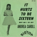 Vignette de Andrea Carroll - It hurts to be sixteen