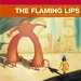 Pochette de The Flaming Lips - Fight Test