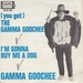 Vignette de Gamma Goochee - (You got) the Gamma Goochee