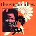 Vignette de The Sugarcubes - Birthday